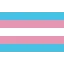 trans_flag